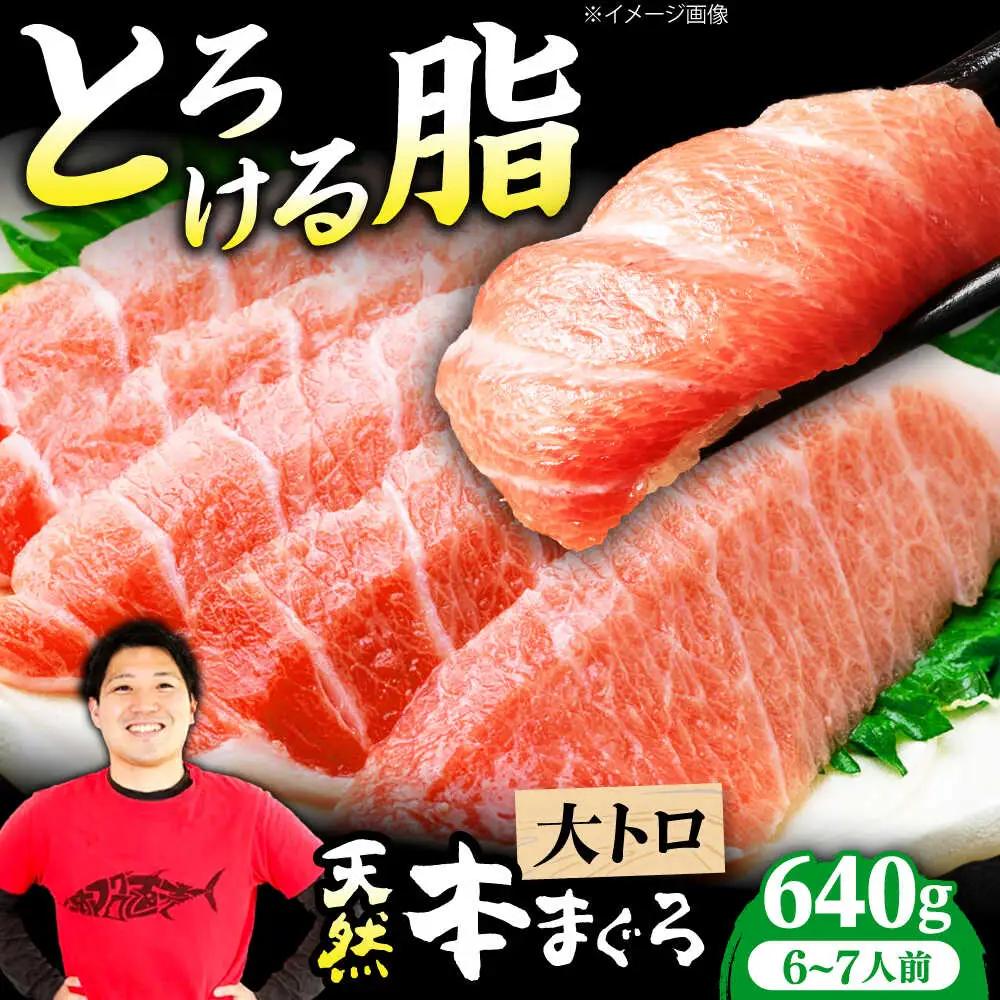 たね熟天然本まぐろ大トロ(640g)[AOCE007]まぐろ