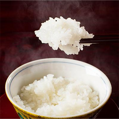 ふるさと納税 南魚沼市 【毎月定期便】南魚沼産こしひかり「秋雪」白米10kg 新潟県特A地区の美味しいお米 下旬発送 全9回 |  | 02