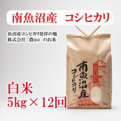 ふるさと納税 南魚沼市 【毎月定期便】南魚沼産 コシヒカリ 白米5kg全12回