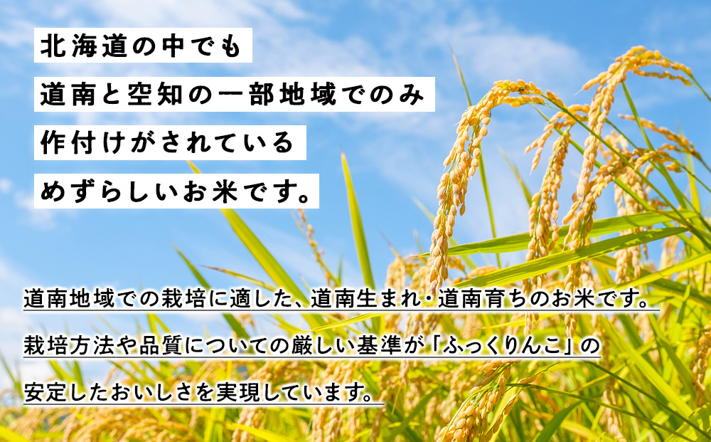新米予約【定期便6回】 ふっくりんこ 5kg 【JA新はこだて】 知内町 ふるさと納税 玄米 こめ 北海道産お米 北海道米 美味しいお米 北海道産米 ブランド米