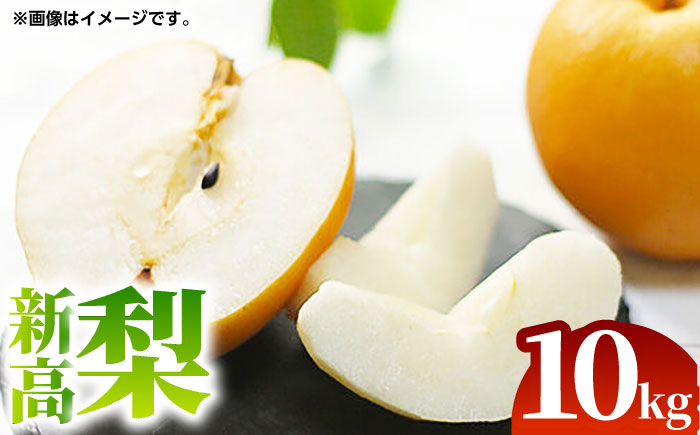 
【先行予約】【数量限定】新高 梨 約10kg （12～24玉） 【くまふる】 [ZBG071]
