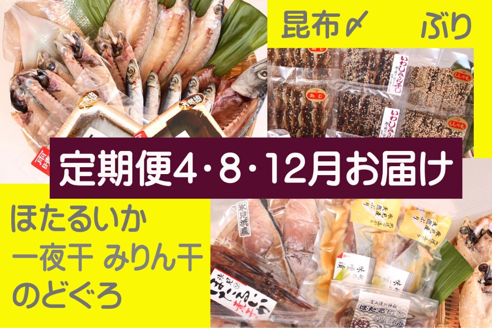
            【年3回定期便】氷見堀与季節の干物・海産物 ＜氷見ぶり、昆布〆刺身、蛍いか、のどぐろ入＞ 富山県 氷見市 干物 詰め合わせ 魚介類
          