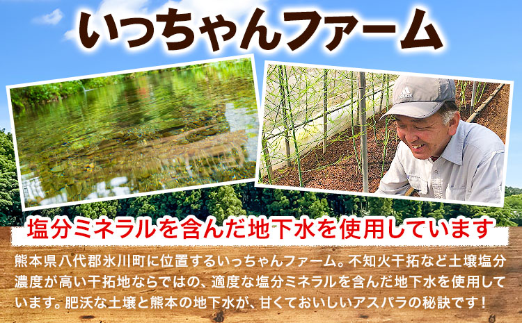 アスパラガス 約600g いっちゃんファーム《2025年6月上旬-9月下旬頃出荷予定》熊本県 氷川町 氷川産 野菜 アスパラガス アスパラ