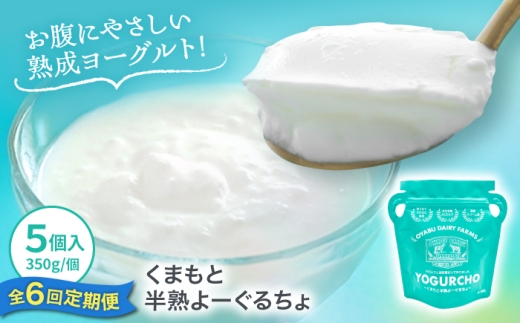 オオヤブデイリーファーム くまもと半熟よーぐるちょ 350g×5個 ヨーグルト