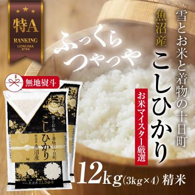 ふるさと納税 十日町市 【無地のし】 魚沼産 コシヒカリ 3kg ×4袋 計 12kg 新潟県 美味しい炊き方ガイド付き