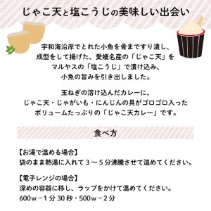 じゃこ天 カレー 6パック (1パック 200g) マルヤス味噌