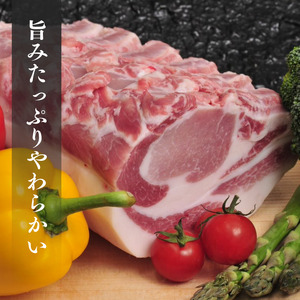【6ヶ月定期便】千葉県産 下山農場 SPF豚 「 ほころぶた 」（ 焼き肉用 ） ／ SPF豚 豚肉 ほころぶた 焼き肉 焼肉 ロース 肩ロース 定期便