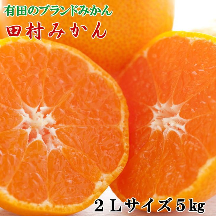 【ふるさと納税】【限定】 【2025年先行予約】 【ブランドみかん】 田村みかん 5kg (2Lサイズ・秀品) 【ミカン 蜜柑 柑橘 温州みかん 有田みかん 高級みかん】