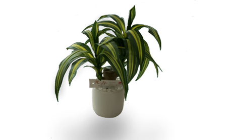 光触媒 造花 ドラセナ 約25cm 観葉植物 フェイクグリーン 抗菌 浄化 消臭 インテリア おしゃれ フェイク 卓上 北海道 芦別市