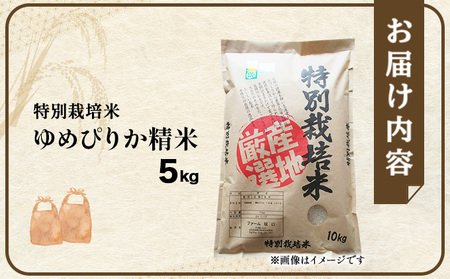 令和7年産!ファーム坂口の特別栽培米 ゆめぴりか精米 5kg