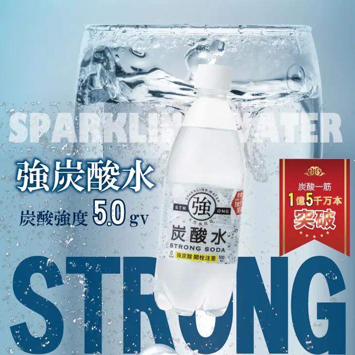 【定期便】（12ヶ月連続お届け）強炭酸水（500ml）1ケース（24本入り）×12回 炭酸 飲料 Q072-002