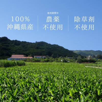 ふるさと納税 南城市 【黒人参茶3種セット】1包で500ml。毎日色々楽しめる、沖縄の恵みがたっぷり詰まった100%沖縄産 |  | 02