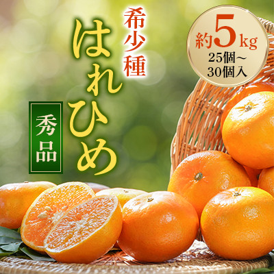 先行受付!　はれひめ(みかんの希少種)　秀品　25個～30個入　約5kg