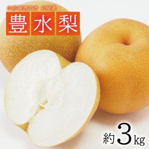 SA2927　酒田の果物専門店厳選　刈屋産 豊水梨　約3kg(7～9玉入)
