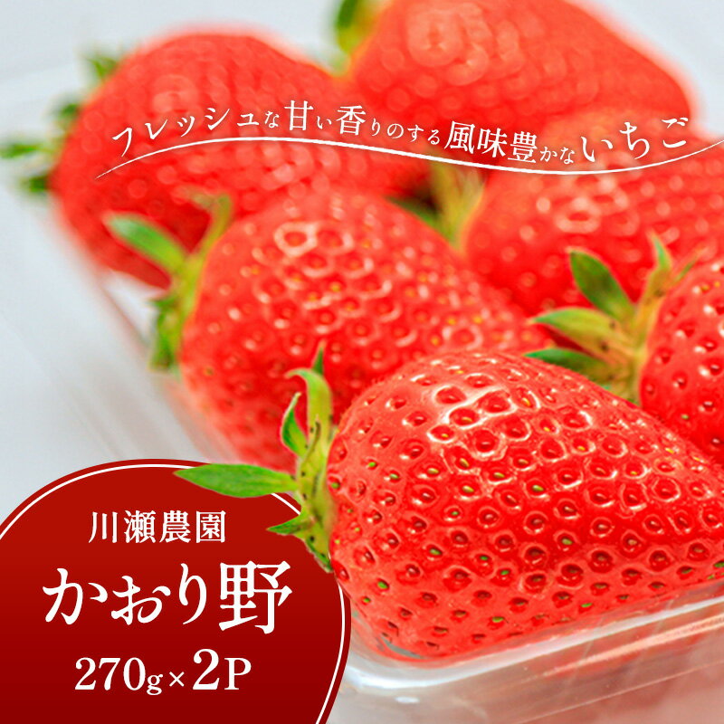【ふるさと納税】川瀬農園のかおり野　2パック　お届け：2026年1月下旬より順次発送
