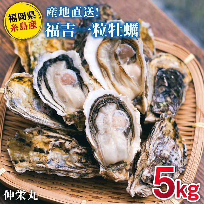 【ふるさと納税】【加熱用】一粒牡蠣 カキ 5kg (牡蠣ナイフ付き) 糸島産 福吉 糸島市/伸栄丸 カキの佐々木 牡蛎 かき [ATH003] 24000円 2万4千円