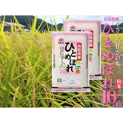 ふるさと納税 湯梨浜町 鳥取県産ひとめぼれ◇精米10kg◇令和7年産(226M.)
