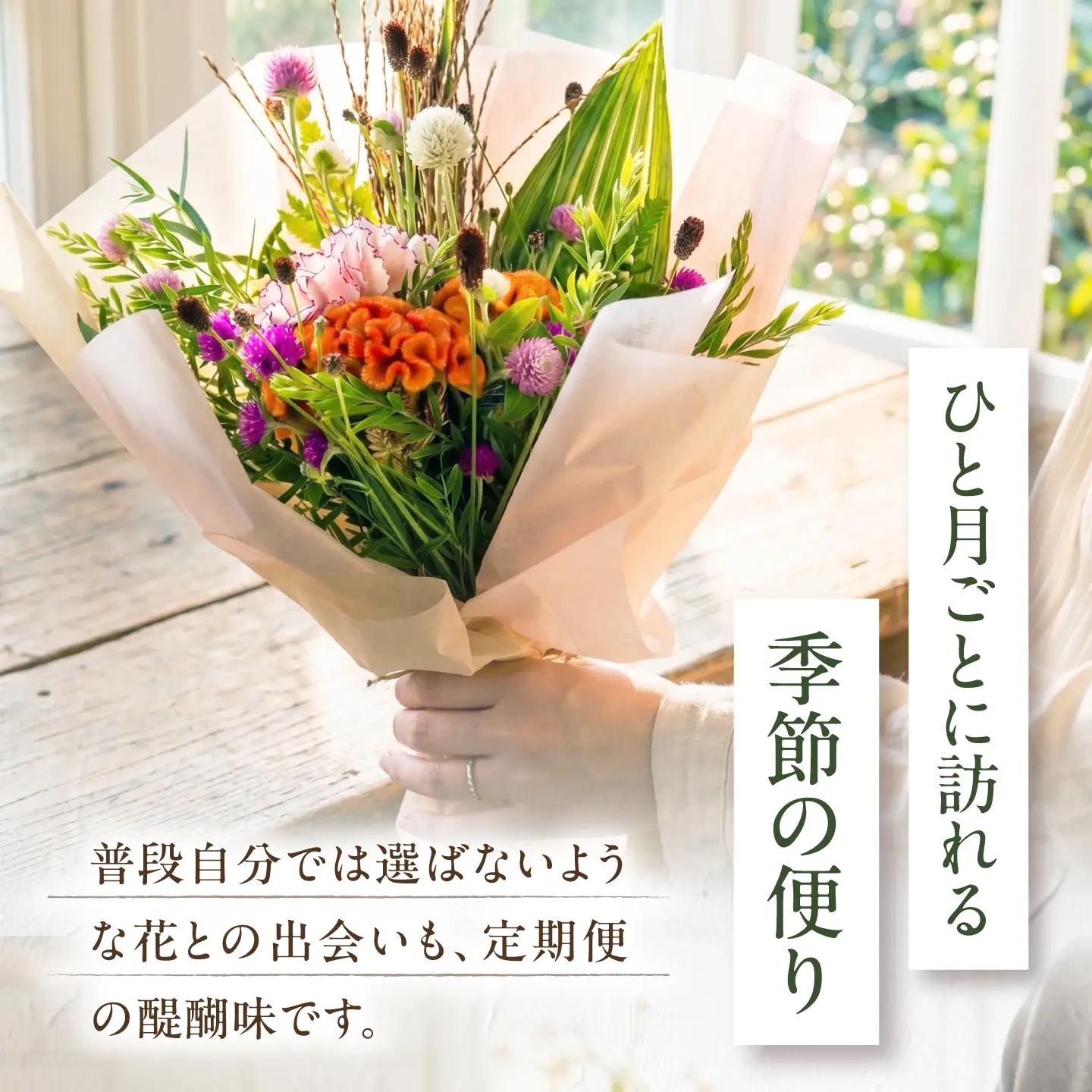 【全12回】生花 季節のお花 BLAW010