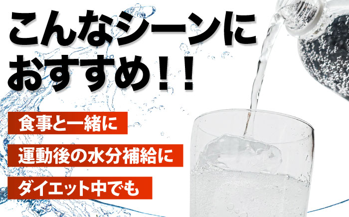 炭酸水 龍馬POWER SODA 500ml×24本 炭酸水 水 飲料水 みず たんさん ソーダ 割り材  定期便 日田