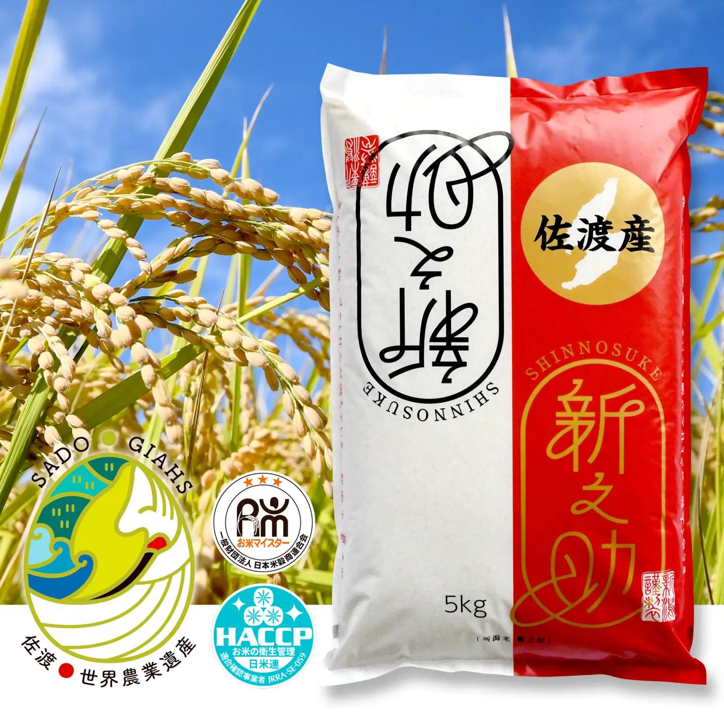 新之助 精米 5kg 令和7年 | 新潟県 佐渡市 米