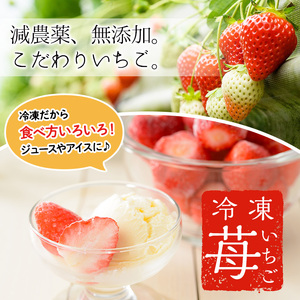 No.362 ＜訳あり・小粒＞ころころサイズの冷凍いちご(計約2.55kg・850g×3袋) 訳あり 訳アリ いちご イチゴ 苺 冷凍 果物 フルーツ 国産 九州産 鹿児島県産 減農薬 アイス 不揃い