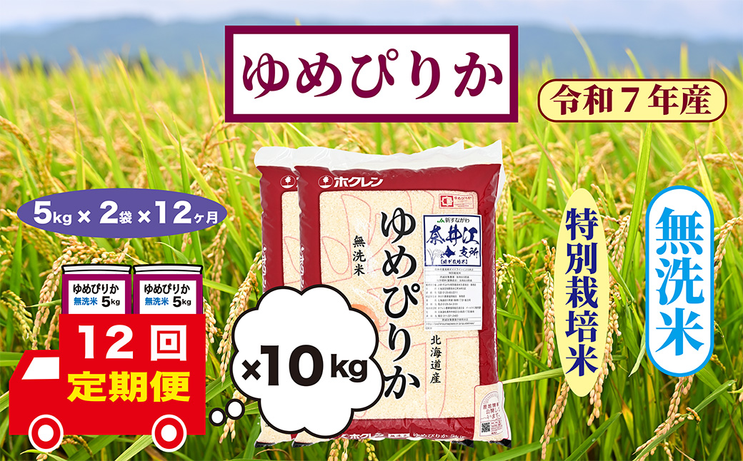 【定期便12回】北海道奈井江町　特別栽培米　ゆめぴりか　10kg【無洗米】