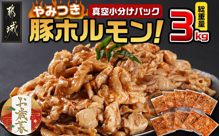 
            【お歳暮】やみつき豚ホルモン!3kg!真空小分けパック!≪11月17日～12月21日お届け≫_LG8-3303-WG_(都城市) 国産豚 ホルモン 味付き 300g 10P 3kg 小分け 真空パック おつまみ 焼くだけ 簡単調理 豚肉
          