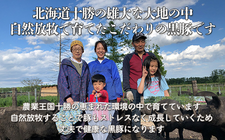 鹿追産 自然放牧黒豚 12か月長期熟成ハモンセラーノ・無添加生ハム（80g×2）【 ふるさと納税 人気 おすすめ ランキング ハモンセラーノ 長期熟成生ハム 放牧黒豚 黒豚 生ハム 北海道 鹿追町 送