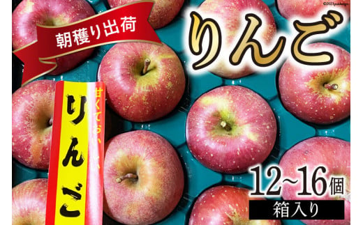 
【先行予約】朝穫り出荷 リンゴ 12～16個 箱入り チョイス限定 / アグリ果樹ラボ / 富山県 上市町 [32280057] りんご 林檎 約 5kg ふじ 昴林 シナノゴールド 朝穫れ
