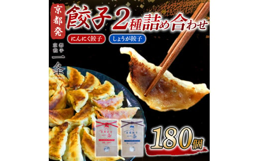 選べる 餃子 2種詰め合わせセット にんにく餃子 ＆ しょうが餃子  180個  冷凍 ぎょうざ ギョウザ ギョーザ しょうが 生姜 豚肉 便利 簡単調理 惣菜 絶品 おかず お子様 家族 こだわり餃子 餃子 人気餃子 簡易包装餃子 訳あり餃子 訳アリ 冷凍餃子 冷凍生餃子 京都 井手町 京都餃子一条 【233】