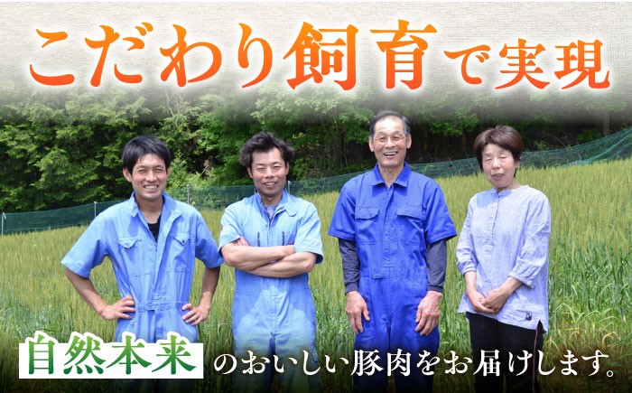 のびのび無薬育ちのあんしん豚。藤井ファームでは、抗生物質やホルモン剤、殺菌剤などの薬を使わず、草原で健康に飼育しております。豚肉