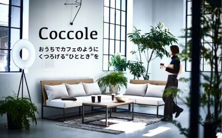 Coccole ダイニングチェア 1脚  椅子 チェア 北欧  天然木  ファブリック 選べる  C217【16_9-001】