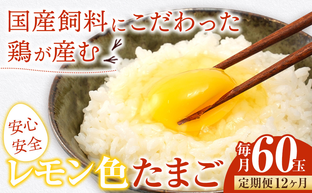 【定期便12か月】国産飼料にこだわった鶏が産む安全安心の 『レモン色たまご』60玉（55玉＋割れ保証5玉） ［Hn12］