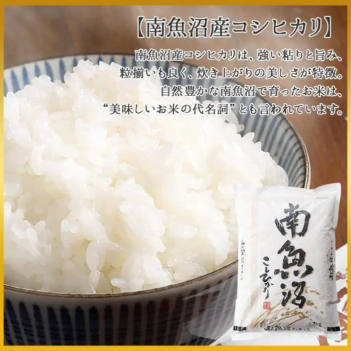 新潟県 南魚沼産 コシヒカリ こしひかり お米 2kg ×2個 計4kg 精米 魚沼 米 炊き方ガイド付き｜主食