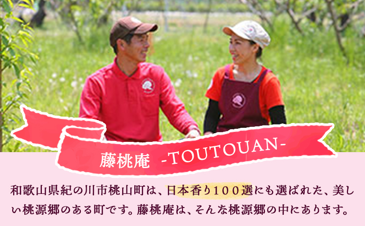 藤桃庵ジェラート 12個入 藤桃庵 《90日以内に出荷予定(土日祝除く)》 和歌山県 紀の川市 ジェラート アイス(F-1)