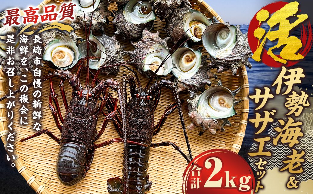 活伊勢海老（イセエビ）0.5kg・活サザエ1.5kg 伊勢海老 エビ サザエ セット 刺身 つぼ焼き 伊勢エビ 旨味 凝縮 生食 新鮮 活締め【2024年9月下旬-2025年5月下旬発送予定】