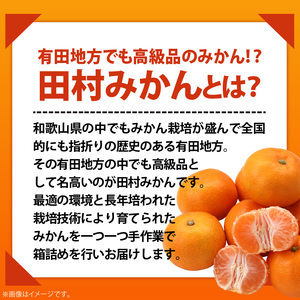 【2026年先行予約】プレミアムブランド 田村みかん Lサイズ 秀品  約5kg 和歌山県産 蜜柑 ミカン フルーツ 果物 ギフト お歳暮 完熟_AB7305