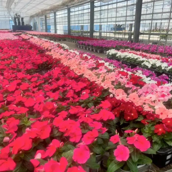 【季節の寄植えリース】ウォームセレクト＊花工房すなが＊ No.147