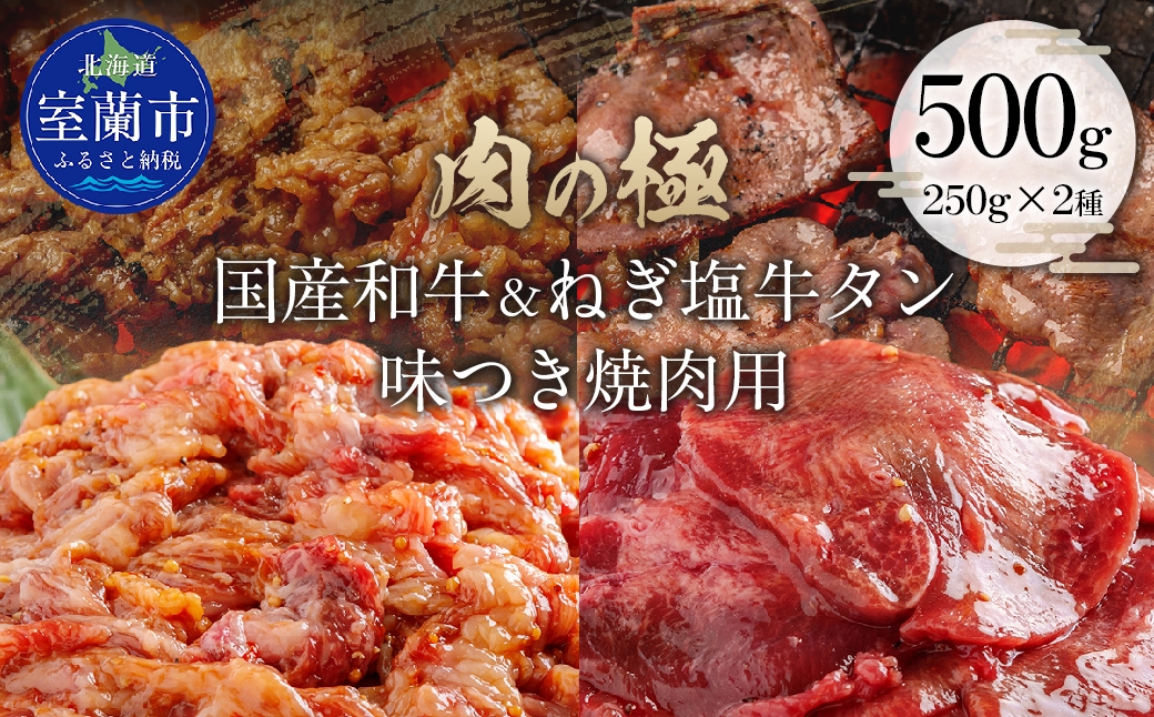
                  国産和牛味付き焼き肉用とねぎ塩牛タン味付き焼き肉用セット 500g（各250g×1） 【ふるさと納税 人気 おすすめ ランキング 肉 牛肉 和牛 国産和牛 牛 国産 国産牛 にく 牛タン タン ねぎ塩 ニク 味付き 焼肉 バーベキュー BBQ 北海道 室蘭市 送料無料】 MROBM067
                