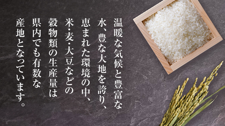 【 JA 北つくば 】 茨城県産 コシヒカリ 10kg 令和5年産 農協 米 お米 白米 コメ こしひかり 茨城県 精米 新生活 応援 [AE027ci]