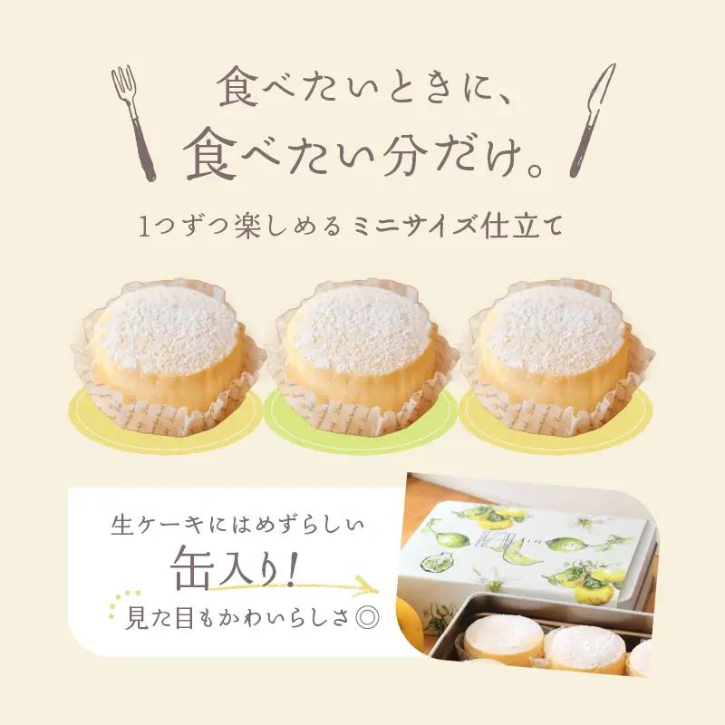 INFINI チーズケーキ KANKAN 濃厚テリーヌ 柑橘 冷凍スイーツ デザート ギフト ケーキ_0004-002-se4