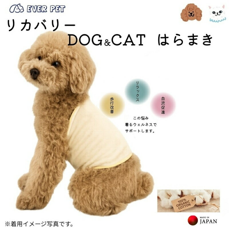 【ふるさと納税】 着るだけ 歩行サポート リラクゼーション オーガニックコットン 柔らかい ペット腹巻