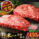 【ふるさと納税】【全12回定期便】 長崎和牛 モモ ステーキ 総計5.4kg （約450g×12回）【ながさき西海農業協同組合】 [QAK043] 肉 和牛 牛肉 もも肉 モモ肉 赤身 人気 焼肉 焼き肉 BBQ バーベキュー 霜降り さざちょう おすすめ 22万8千円 228000円