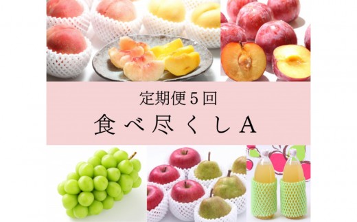 2026年度発送【定期便 ５回 】食べ尽し定期便A