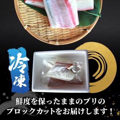 ふるさと納税 西予市 訳あり 超冷薫加工 ブリ ブロックカット 600g |  | 02