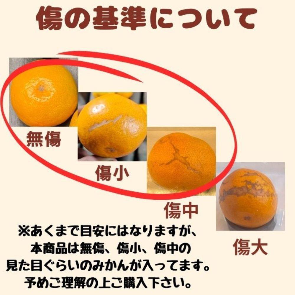 有田みかん 早生S〜Lサイズ混合 約20kg  	ER05-D2_イメージ5