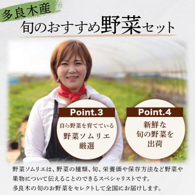 ふるさと納税 多良木町 【毎月定期便】野菜ソムリエ監修 旬のおすすめ野菜セット 4〜6種類(1〜2名様向け)全3回 |  | 02