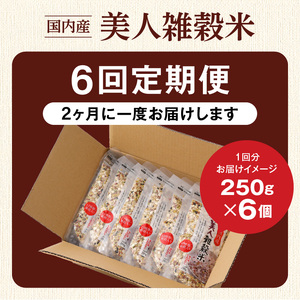 【隔月6回　定期便】国内産 美人雑穀米 250g×6個 1500g×6回_雑穀米 国内産 250g × 6個 お届け回数 6回 美人雑穀米 雑穀 12種 ブレンド 混ぜて炊くだけ 冷めても美味しい 胚