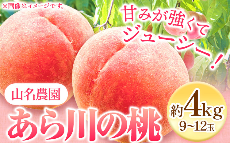 
            あら川の桃 約4kg 9-12玉 山名農園 《2025年6月下旬-8月下旬出荷》 和歌山県 紀の川市 桃 もも モモ 白鳳 白桃 フルーツ 果物 送料無料 st-p
          