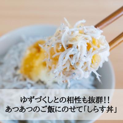 ふるさと納税 高知市 【冷凍】ゆずぽん酢ゆずづくし360ml・しらす干し250g×2袋セット【BS007】 |  | 01